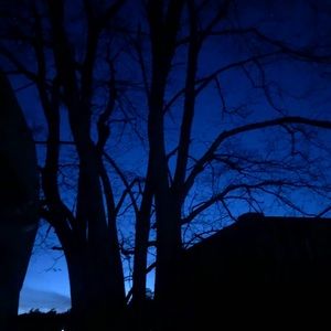 Meet your Posher, Enrique